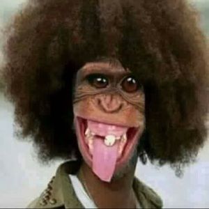 Meet your Posher, Sabyl